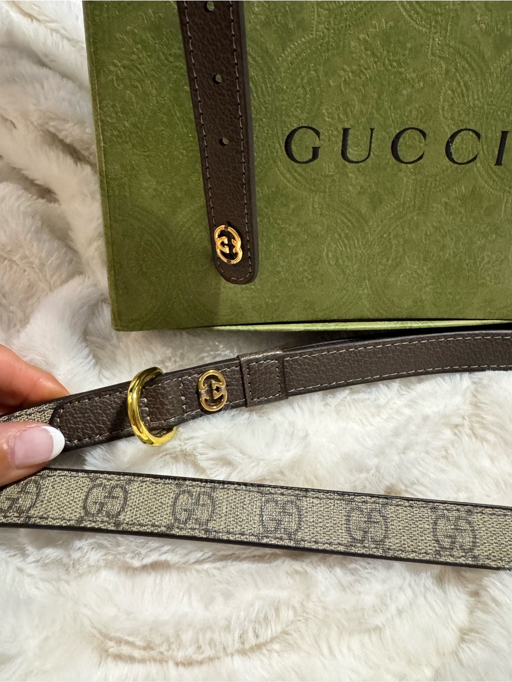 Gucci GG Canvas LEASH and COLLAR  with Gold Hardware